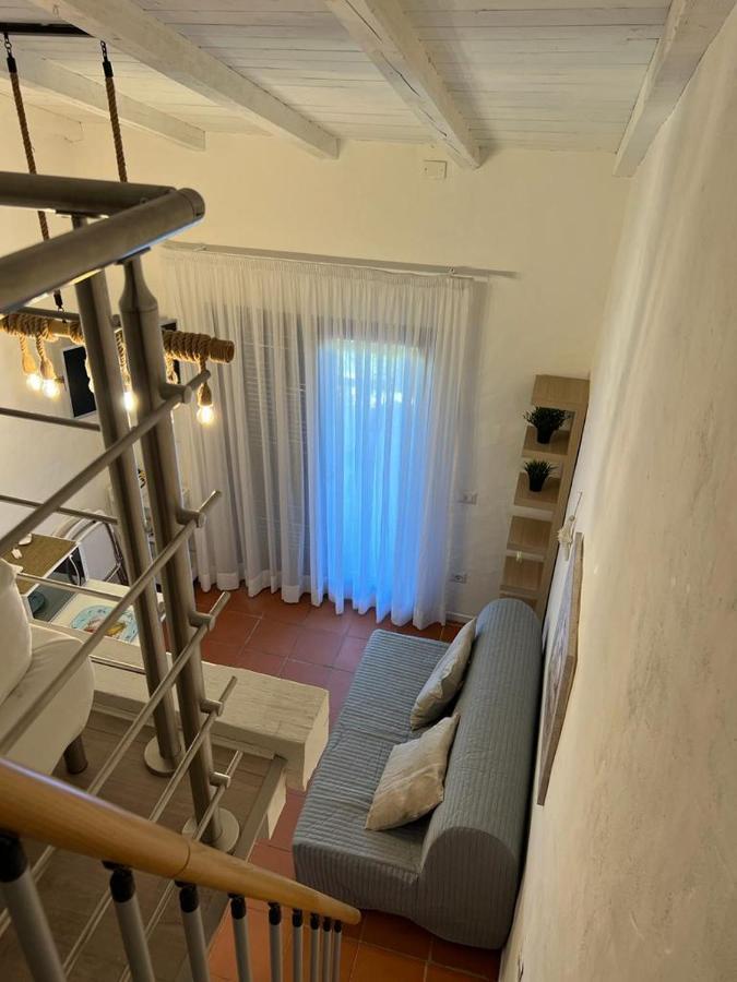 Ginepro, Baia Caddinas * Golfo Aranci